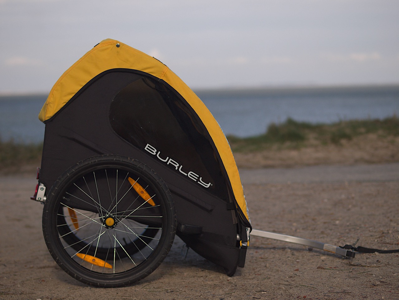 Burley Kinderanhänger Bee für 2 Kinder
