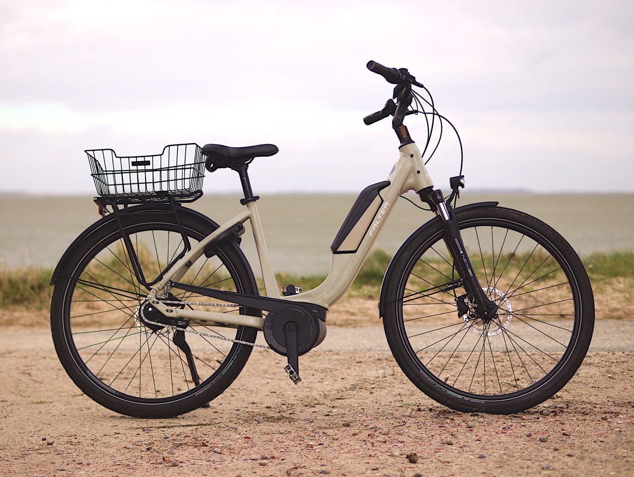 FALTER E 9.0 RT Wave 28" E-Bike